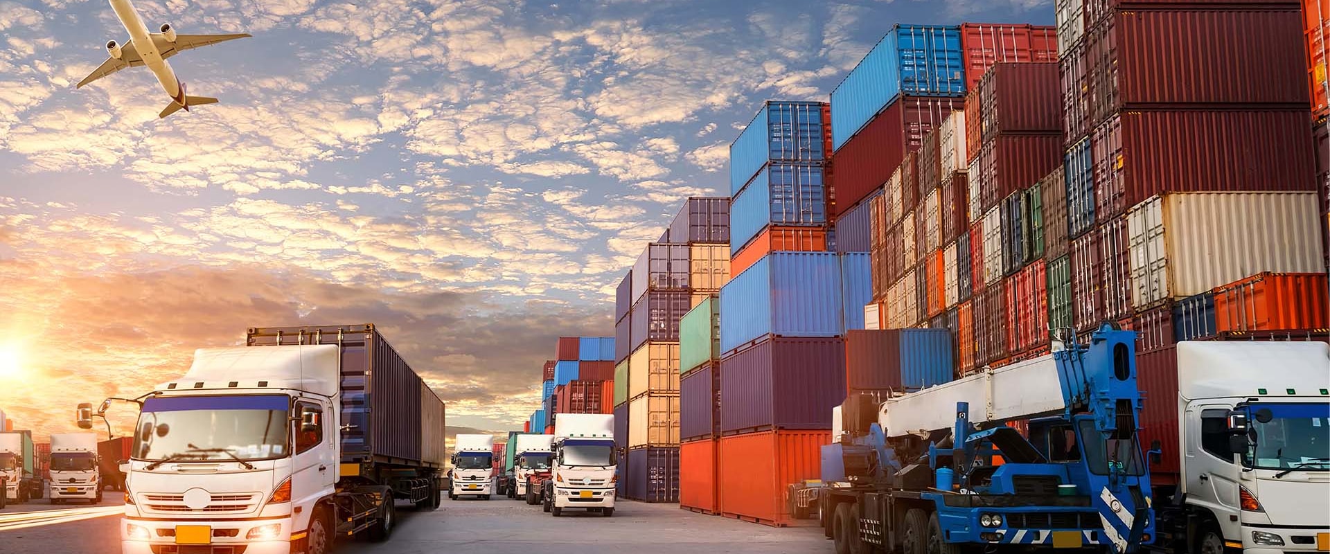 Reaching a Global Market: Benefits of International Shipping